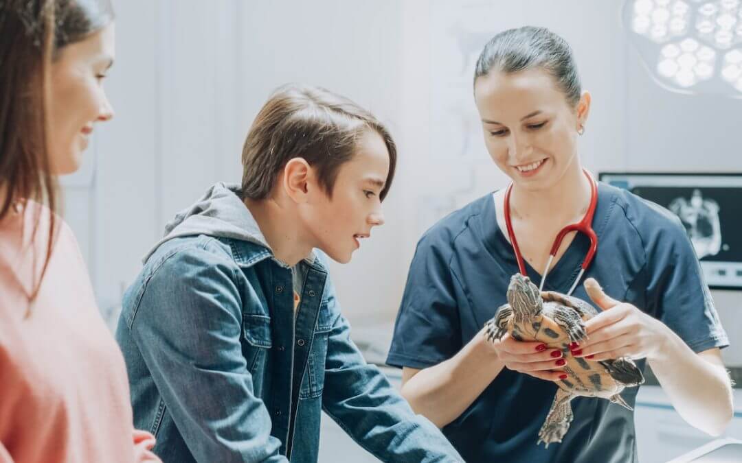 What Should Veterinary Clinics Look for in a Local IT Provider?