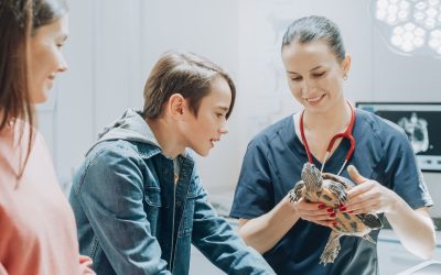 What Should Veterinary Clinics Look for in a Local IT Provider?