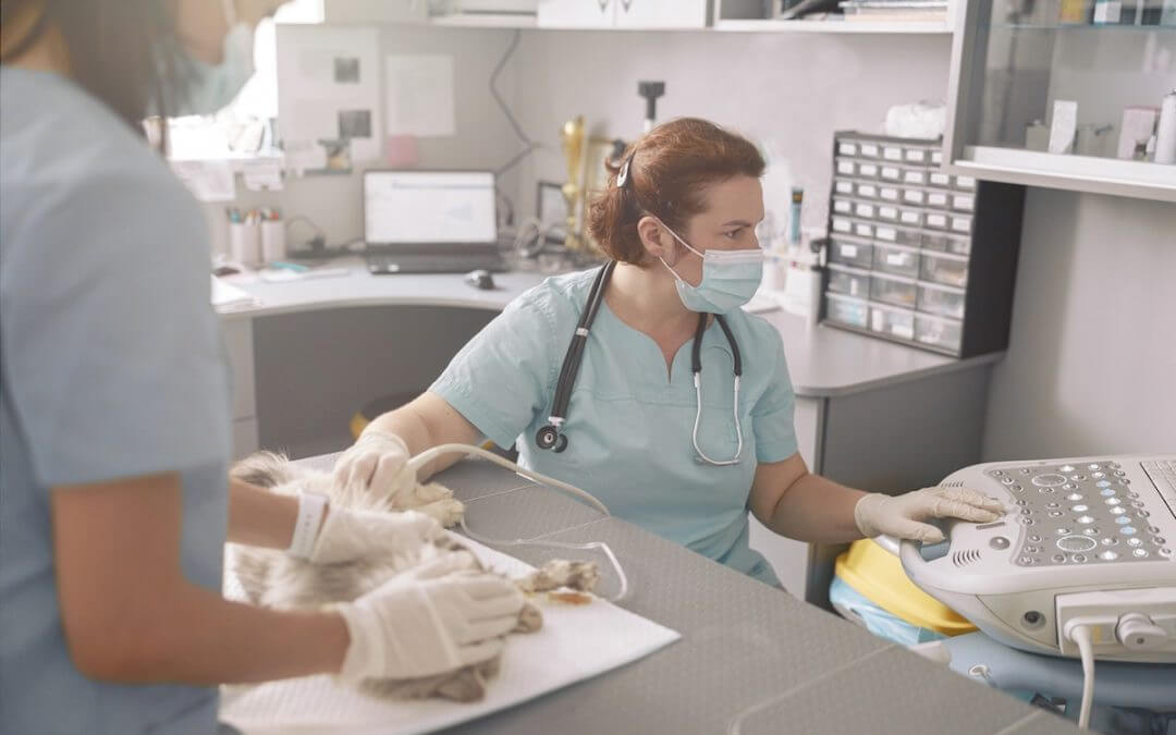 What Happens if a Vet Clinic Server or PC Fails During Business Hours?