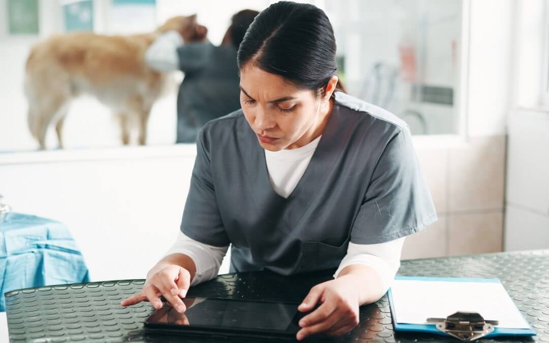 How Does Backup and Disaster Recovery Work for Veterinary Clinics?