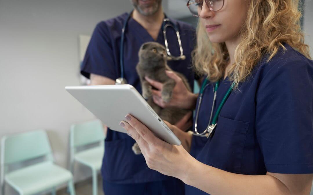 Do Veterinary Clinics Need User-Based or Device-Based Security?