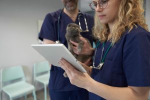A female veterinarian in blue scrubs reviews data on a white tablet while a colleague holds a grey cat in the background of a clinic; conceptualizing user-based vs. device-based IT security in veterinary medicine.